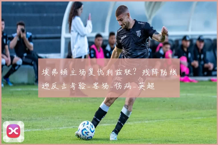 埃弗顿主场复仇利兹联?残阵防线迎反击考验_客场_伤病_英超